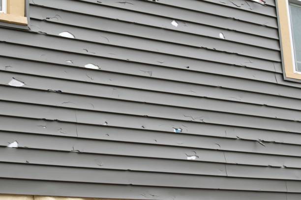 Best Moving and Downsizing Cleanouts  in Escanaba, MI